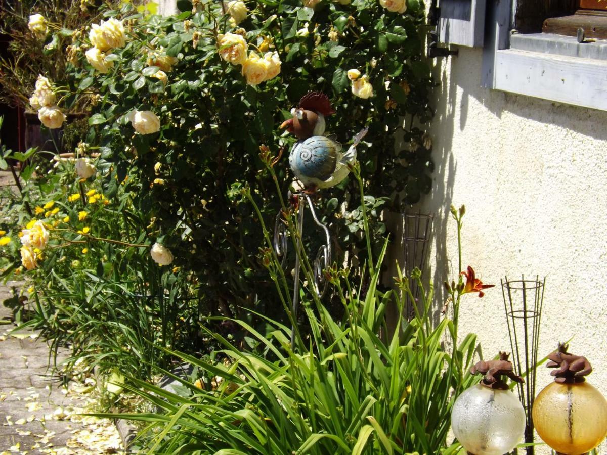 Gite Perisse, Le Petit Gite Libaros Exterior foto
